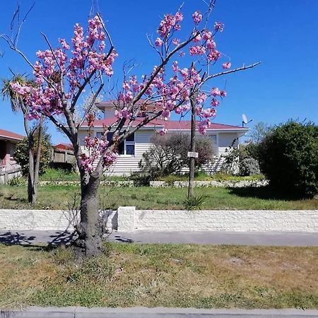 Homestay Family Room, Near The City Center Christchurch Exteriör bild